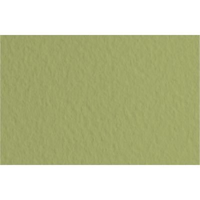 Feuille de papier Tiziano 160g vert mousse 14 format 50x65cm (retrait en boutique seulement)