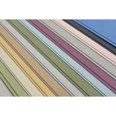 Feuille de papier Tiziano 160g vert mousse 14 format 50x65cm (retrait en boutique seulement)